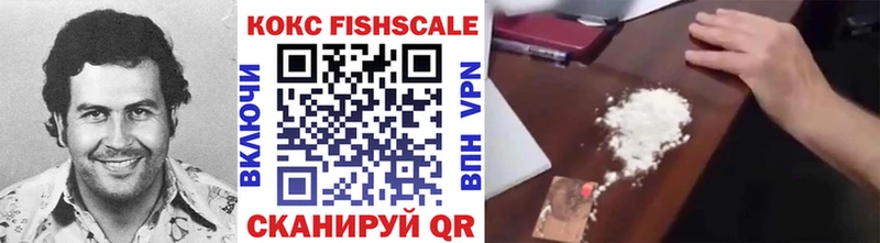 COCAIN Fish Scale  сайты даркнета официальный сайт  Чусовой  купить наркотик 